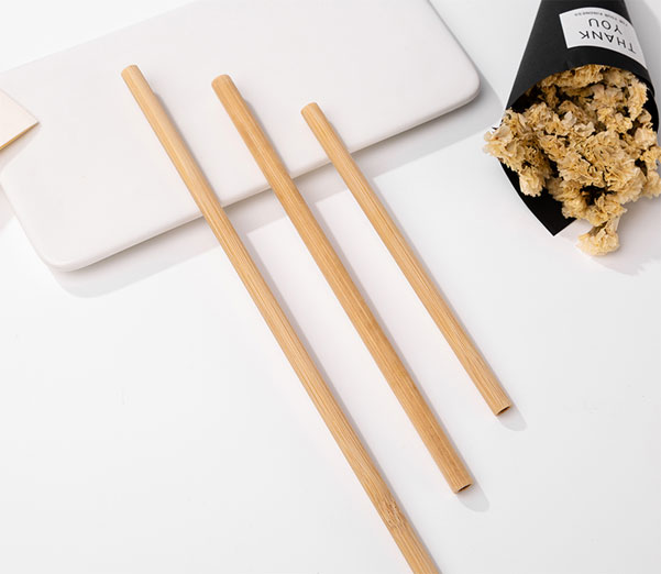 Reusable Biodegradable Straws by Occasions