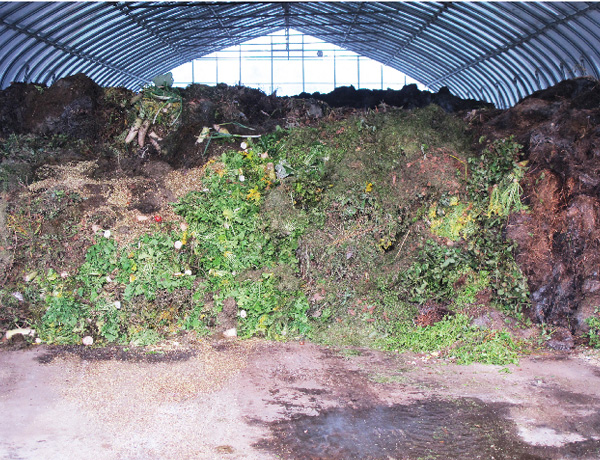 biomass-waste-collected-from-pasture-and-farm.jpg