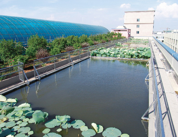 gardens-and-fish-ponds-at-the-rooftop-of-shuangtong-plant