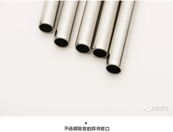 soton-stainless-steel-straw5.jpg