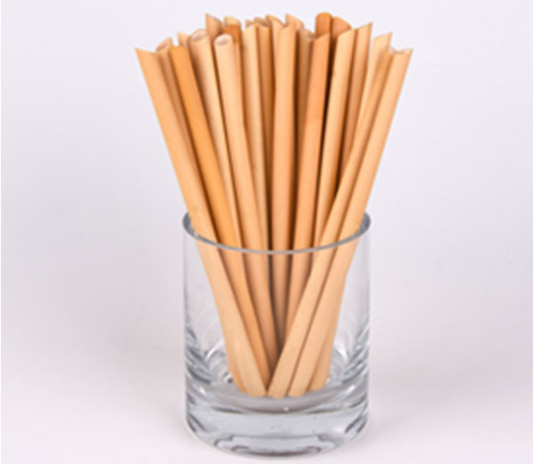 Features of Biodegradable Straws